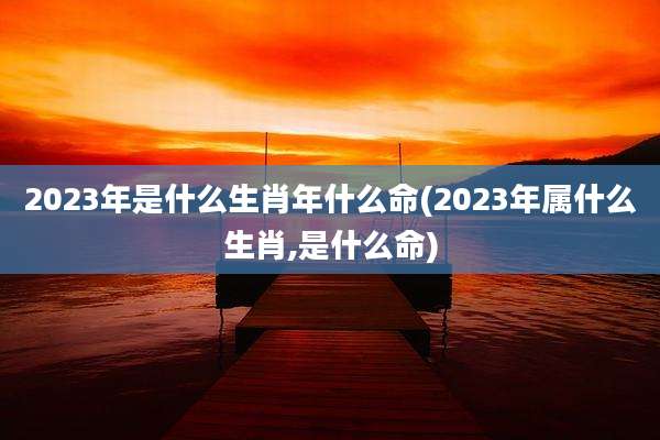 2023年是什么生肖年什么命(2023年属什么生肖,是什么命)