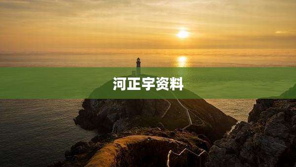 河正宇资料