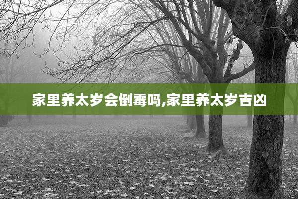 家里养太岁会倒霉吗,家里养太岁吉凶