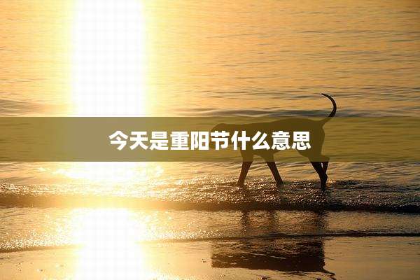 今天是重阳节什么意思