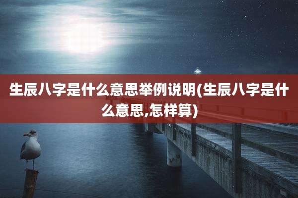 生辰八字是什么意思举例说明(生辰八字是什么意思,怎样算)