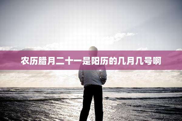 农历腊月二十一是阳历的几月几号啊