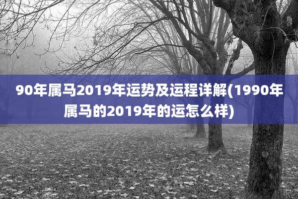 90年属马2019年运势及运程详解(1990年属马的2019年的运怎么样)