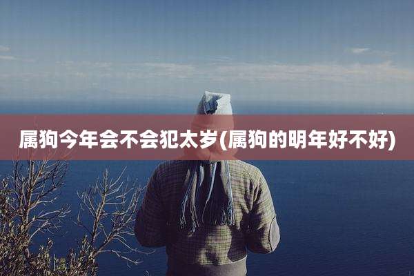 属狗今年会不会犯太岁(属狗的明年好不好)