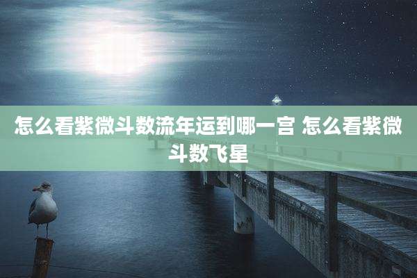怎么看紫微斗数流年运到哪一宫 怎么看紫微斗数飞星