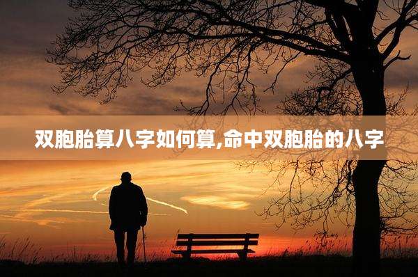 双胞胎算八字如何算,命中双胞胎的八字