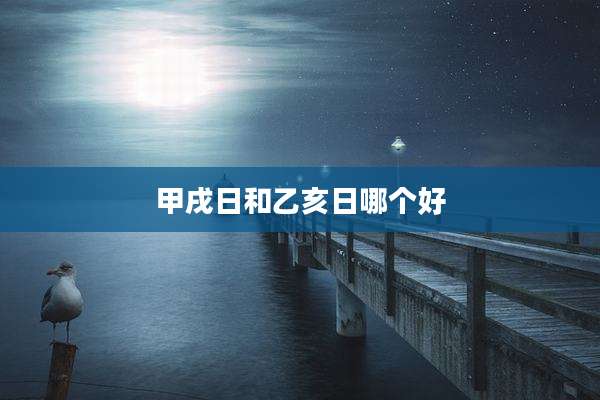 甲戌日和乙亥日哪个好