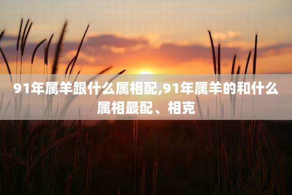 91年属羊跟什么属相配,91年属羊的和什么属相最配、相克