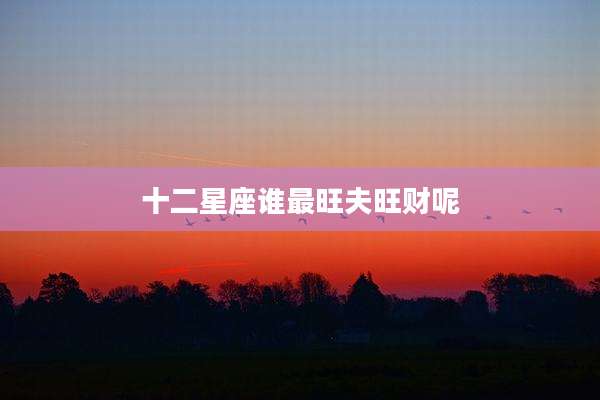 十二星座谁最旺夫旺财呢