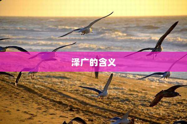 泽广的含义