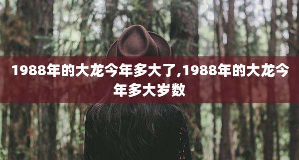 1988年的大龙今年多大了,1988年的大龙今年多大岁数