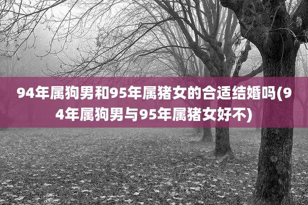 94年属狗男和95年属猪女的合适结婚吗(94年属狗男与95年属猪女好不)