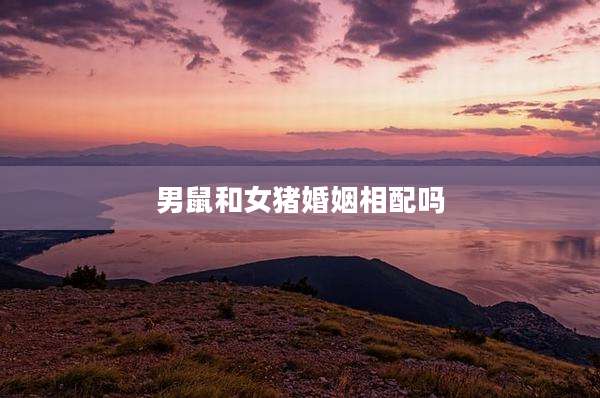 男鼠和女猪婚姻相配吗