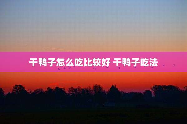 干鸭子怎么吃比较好 干鸭子吃法