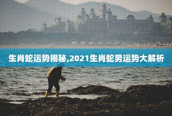 生肖蛇运势揭秘,2021生肖蛇男运势大解析