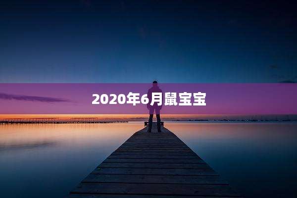 2020年6月鼠宝宝