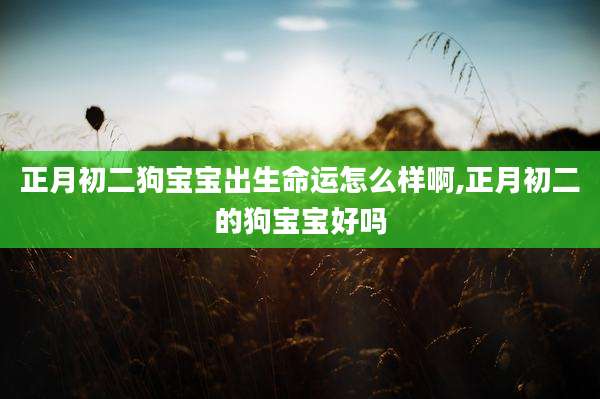 正月初二狗宝宝出生命运怎么样啊,正月初二的狗宝宝好吗