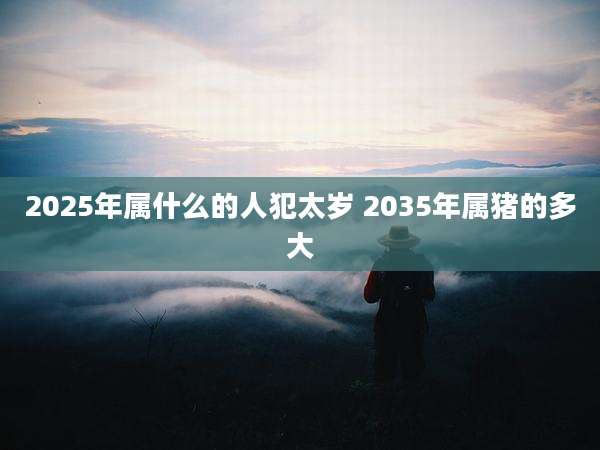 2025年属什么的人犯太岁 2035年属猪的多大