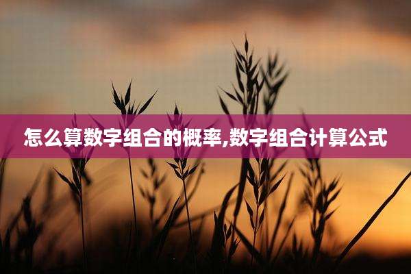 怎么算数字组合的概率,数字组合计算公式