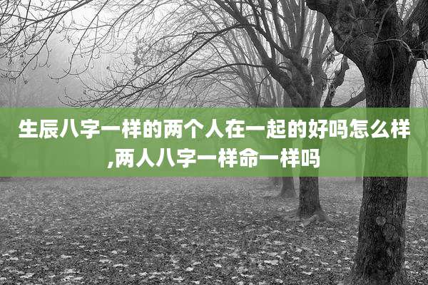 生辰八字一样的两个人在一起的好吗怎么样,两人八字一样命一样吗