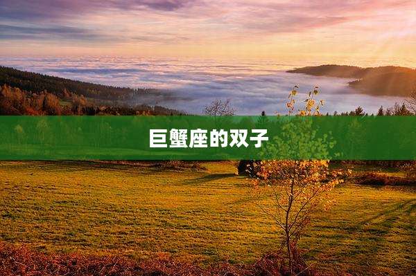 巨蟹座的双子