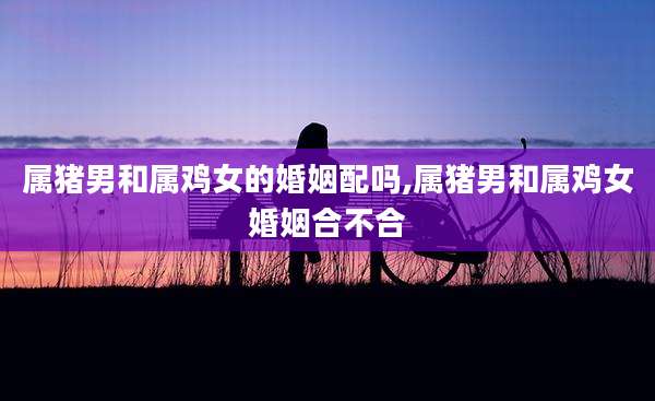 属猪男和属鸡女的婚姻配吗,属猪男和属鸡女婚姻合不合