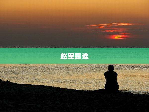 赵军是谁