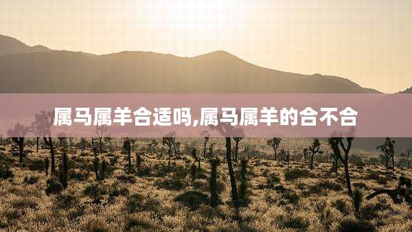 属马属羊合适吗,属马属羊的合不合