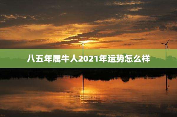 八五年属牛人2021年运势怎么样