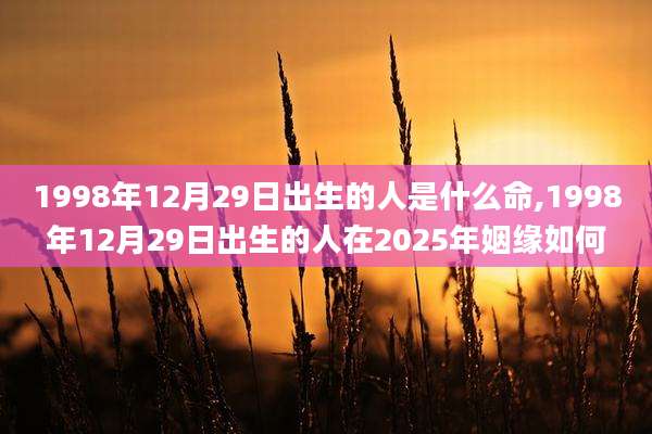 1998年12月29日出生的人是什么命,1998年12月29日出生的人在2025年姻缘如何