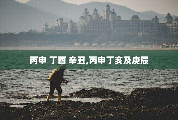 丙申 丁酉 辛丑,丙申丁亥及庚辰