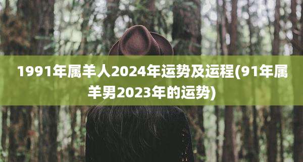 1991年属羊人2024年运势及运程(91年属羊男2023年的运势)