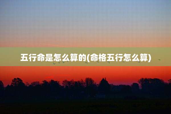 五行命是怎么算的(命格五行怎么算)