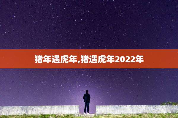 猪年遇虎年,猪遇虎年2022年