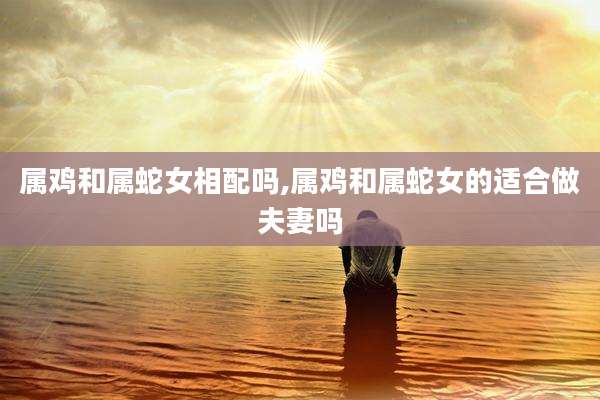 属鸡和属蛇女相配吗,属鸡和属蛇女的适合做夫妻吗
