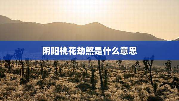 阴阳桃花劫煞是什么意思