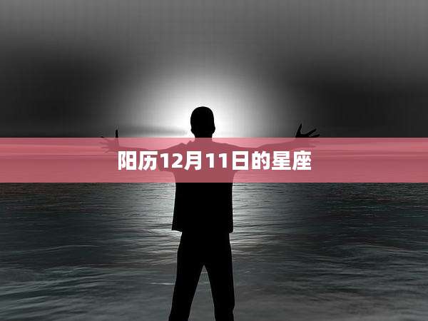 阳历12月11日的星座