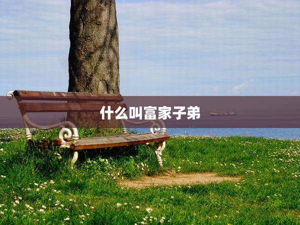 什么叫富家子弟