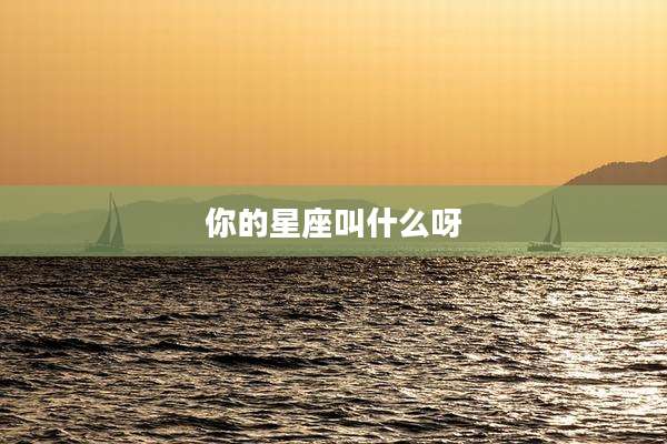 你的星座叫什么呀