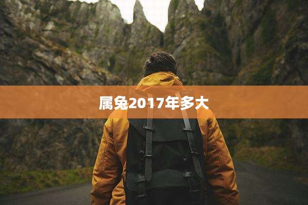 属兔2017年多大