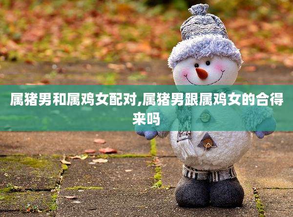 属猪男和属鸡女配对,属猪男跟属鸡女的合得来吗