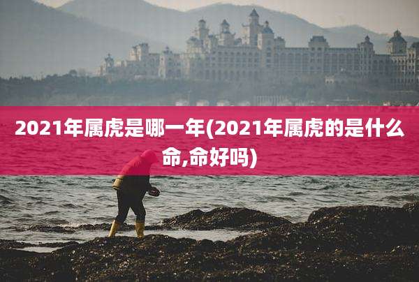 2021年属虎是哪一年(2021年属虎的是什么命,命好吗)