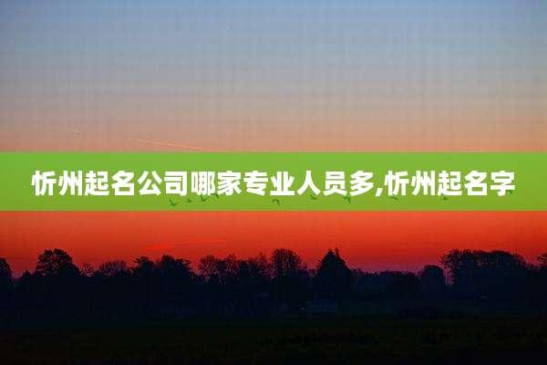 忻州起名公司哪家专业人员多,忻州起名字
