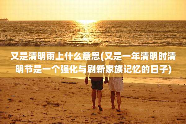 又是清明雨上什么意思(又是一年清明时清明节是一个强化与刷新家族记忆的日子)