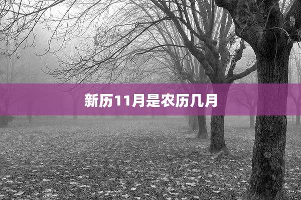 新历11月是农历几月