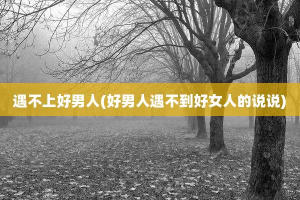 遇不上好男人(好男人遇不到好女人的说说)