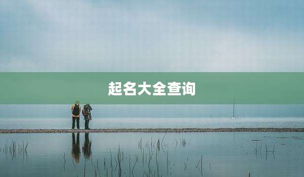 起名大全查询