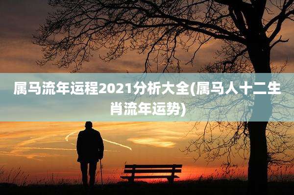 属马流年运程2021分析大全(属马人十二生肖流年运势)