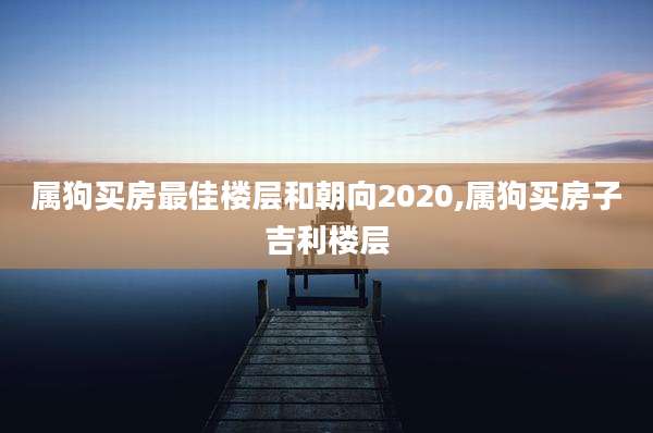 属狗买房最佳楼层和朝向2020,属狗买房子吉利楼层