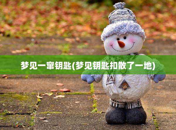 梦见一窜钥匙(梦见钥匙扣散了一地)